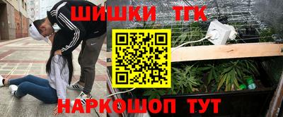герыч Кингисепп